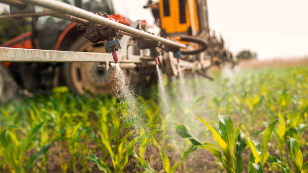 Best Ant Control Services  in Moon Lake, FL